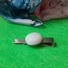 Kép 2/2 - Nyakkendő csipesz fehér-achát kabochonnal 20 mm-s, nemesacél alappal